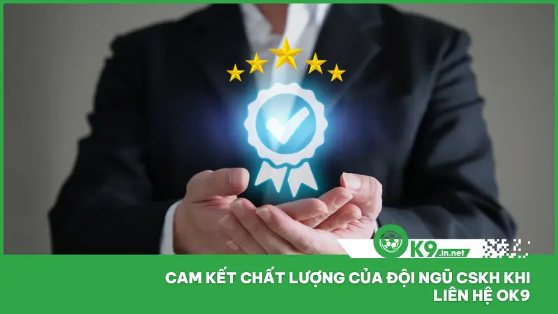 Ok9 đã thiết lập hệ thống hỗ trợ với quy trình phản hồi rõ ràng và nhất quán