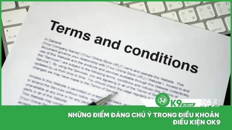 Việc hiểu rõ từng điều khoản là cách tốt nhất để bạn tránh được những rủi ro không đáng có