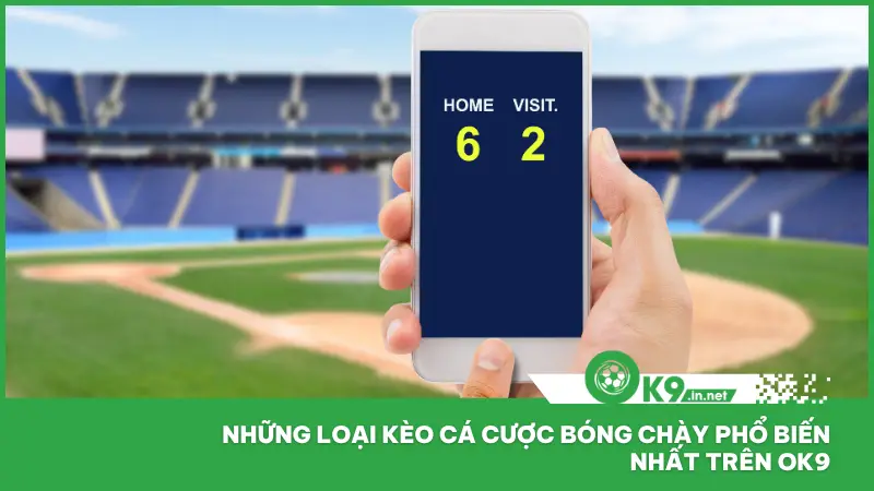 Cá cược bóng chày tại ok9 có sự đa dạng trong cách chơi